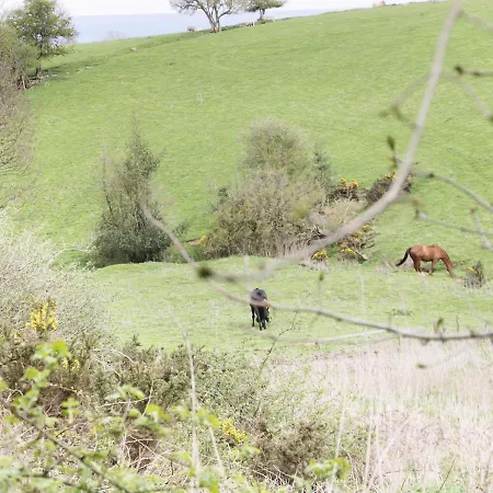 16 Badgers Retreat *