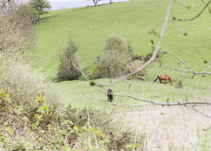 16 Badgers Retreat *
